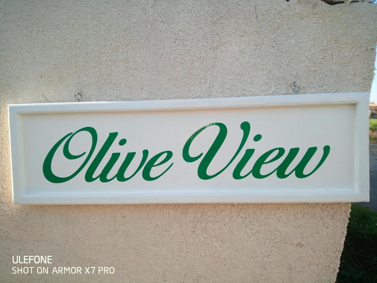 Olive View Villa Puissalicon Exteriör bild